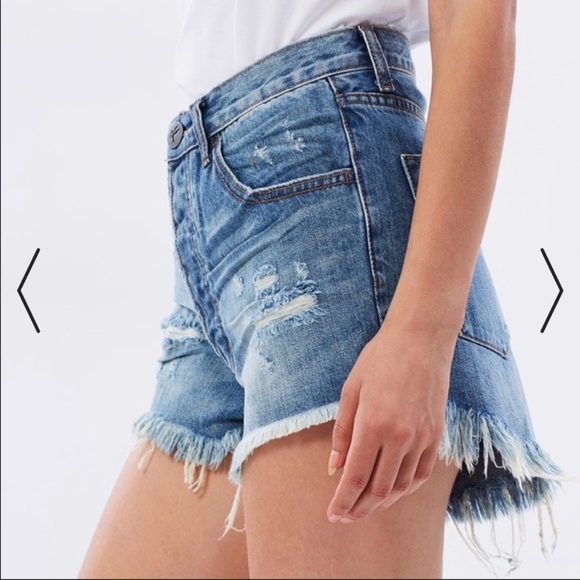 One X One Teaspoon • The Outlaws Jean Shorts